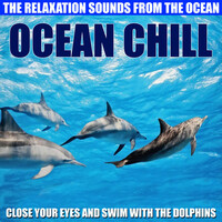 Thumbnail for the Monsoon - Ocean Chill - Relaxation Sounds link, provided by host site