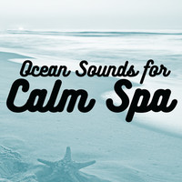Thumbnail for the Ocean Waves For Sleep - Ocean Sounds for Calm Spa link, provided by host site