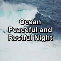 Thumbnail for the Lullabies for Deep Meditation - Ocean SoundsFor Deep Sleep For Healthy Sleep Loopable for 8 Hours link, provided by host site