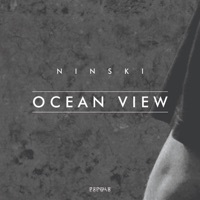 Thumbnail for the Ninski - Ocean View link, provided by host site