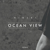 Thumbnail for the Ninski - ocean view link, provided by host site