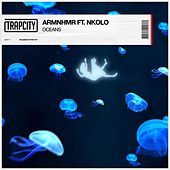 Thumbnail for the ARMNHMR - Oceans link, provided by host site