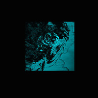 Thumbnail for the Flores - Oceans link, provided by host site