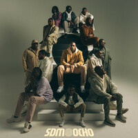 Image of SDM linking to their artist page due to link from them being at the top of the main table on this page