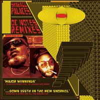 Thumbnail for the Shabazz Palaces - OCnotes Remixes link, provided by host site