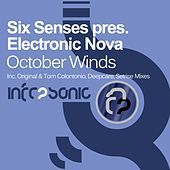 Thumbnail for the Electric Nova - October Winds (Six Senses Presents) link, provided by host site