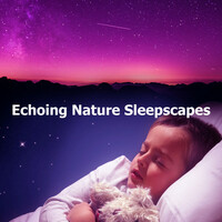 Thumbnail for the Echoes Of Nature - Octopus Dolphins link, provided by host site