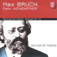 Thumbnail for the Felix Weingartner - Octuor pour cor, clarinette, basson, piano et cordes, Op. 73: IV. Allegro moderato link, provided by host site