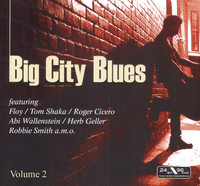 Thumbnail for the Robbie Smith - Odd Meter Bluesband link, provided by host site