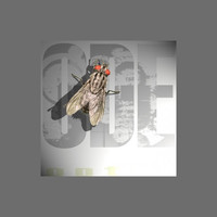 Thumbnail for the Optik - Ode link, provided by host site