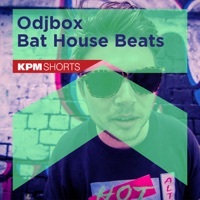 Thumbnail for the OdjBox - Odjbox: Bat House Beats link, provided by host site