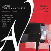 Thumbnail for the Maxime Zecchini - Œuvres pour la main gauche - Anthologie, Vol. 3 link, provided by host site
