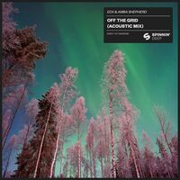 Thumbnail for the EDX - Off The Grid (Acoustic Mix) link, provided by host site