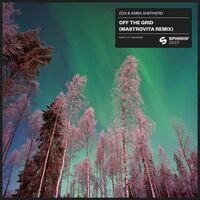 Thumbnail for the EDX - Off The Grid (Mastrovita Extended Remix) link, provided by host site
