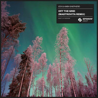 Thumbnail for the EDX - Off The Grid (Mastrovita Remix) link, provided by host site