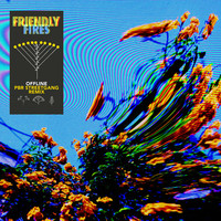 Thumbnail for the Friendly Fires - Offline (PBR Streetgang Remix Edit) link, provided by host site