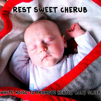 Thumbnail for the White Noise Babies - Offshore Windfarm link, provided by host site