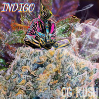 Thumbnail for the Indigo - OG KUSH link, provided by host site