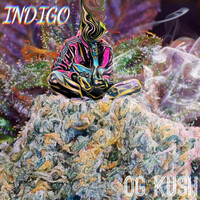 Image of Indigo linking to their artist page due to link from them being at the top of the main table on this page