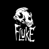 Image of Fluke linking to their artist page due to link from them being at the top of the main table on this page