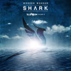 Thumbnail for the Illenium - Oh Wonder - Shark (Illenium Remix) link, provided by host site