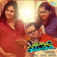 Thumbnail for the Alaap Raju - Oho Penne link, provided by host site