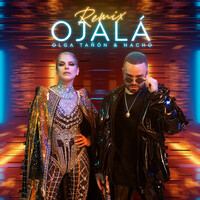 Thumbnail for the Olga Tañon - Ojalá (Remix) link, provided by host site