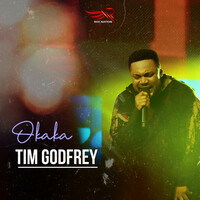 Thumbnail for the Tim Godfrey - Okaka link, provided by host site
