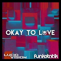 Thumbnail for the Funkstatik - Okay to Love link, provided by host site