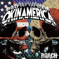 Thumbnail for the Roach - OKINAMERICA link, provided by host site
