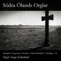 Thumbnail for the Trad - Öländsk brudmarsch (arr. Gösta Lundqkvist) [Gräsgård] link, provided by host site