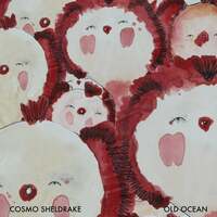 Thumbnail for the Cosmo Sheldrake - Old Ocean link, provided by host site
