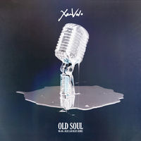 Thumbnail for the XamVolo - Old Soul (NK-OK x Blue Lab Beats Remix) link, provided by host site