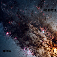 Thumbnail for the Lil' Troy - Old Spaces link, provided by host site