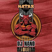 Thumbnail for the DJ Nano - Olé! link, provided by host site