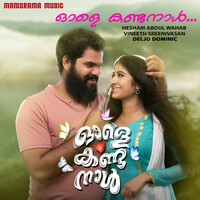 Thumbnail for the Vineeth Sreenivasan - Ole Kanda Naal (From "Ole Kanda Naal") link, provided by host site