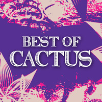 Thumbnail for the Cactus - Oleo link, provided by host site
