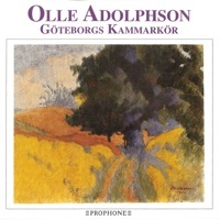 Thumbnail for the Olle Adolphson - Olle Adolphson link, provided by host site