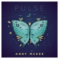 Image of Andy McKee linking to their artist page due to link from them being at the top of the main table on this page