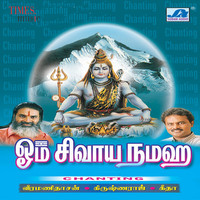 Thumbnail for the Krishnaraj - Om Chanting link, provided by host site