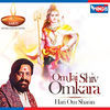 Thumbnail for the Hari Om Sharan - Om Jai Shiv Omkara (Aarti) link, provided by host site