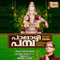 Thumbnail for the Veeramani Raju - Om Mandhirarasayae Namahaga link, provided by host site