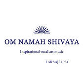 Thumbnail for the Laraaji - Om Namah Shivaya link, provided by host site