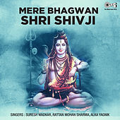 Thumbnail for the Arvind Hasabnish - Om Shiv Om Shiv link, provided by host site