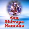 Thumbnail for the Mahesh - Om Shivaya Namaha link, provided by host site