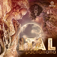 Thumbnail for the Hypnoise - Om Tryambakam - Ital Remix link, provided by host site