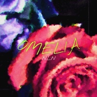 Thumbnail for the N.Ln - OMELIA link, provided by host site