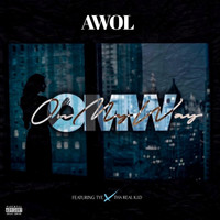 Image of Awol linking to their artist page due to link from them being at the top of the main table on this page