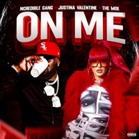 Thumbnail for the Ncredible Gang - On Me link, provided by host site