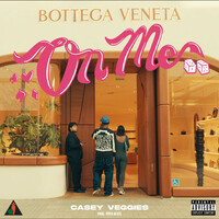 Thumbnail for the Casey Veggies - On Me link, provided by host site